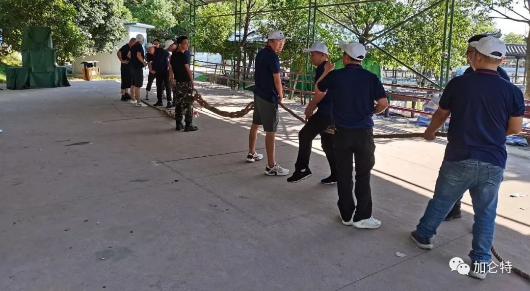 九洲国际官网(中国区)股份有限公司